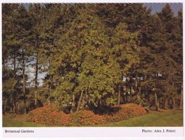 Postcard Botanical Gardens Hamilton Ontario - $2.96