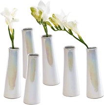 Chive - Set Of 6 Galaxy, Single Flower Decorative Floral, 1&quot; Wide X 5&quot; Tall. - £40.71 GBP