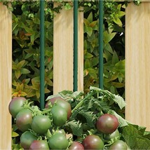  Plant Stake Set of 30 Green Steel with polypropylene coating - €77,21 EUR