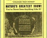 1940s Advertising Flyer California Trees Of Mystery 2-Sided - $11.83