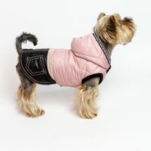 Soft Pink Costume for Fashionable small dog: Featuring a Black Skirt, Hood, and  - $50.00