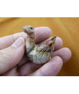 (Y-SWA-25) gray SWAN baby bird carving SOAPSTONE gem stone figurine I lo... - £6.75 GBP