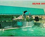 Dolphin Show Dutch Wonderland Lancaster Pennsylvania PA UNP Chrome Postc... - $3.91