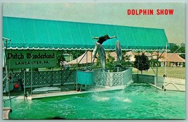 Dolphin Show Dutch Wonderland Lancaster Pennsylvania PA UNP Chrome Postcard G11 - £3.05 GBP
