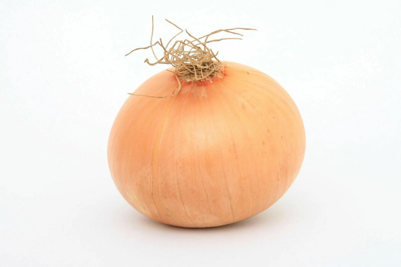 Sweet Spanish Yellow Onion Heirloom Vegetable Seeds - B175 - $3.62