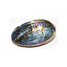 6- 7 Abalone Shell Incense Burner (A Quality) - £21.48 GBP