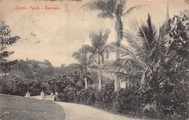 Bermuda~ Smith Paroisse ~1912 William Weiss Photo Carte Postale - $8.53