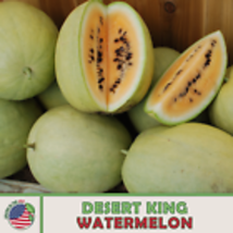 Desert King Watermelon Seeds, Heirloom, Non-GMO, Genuine USA 10  Seeds - £9.52 GBP