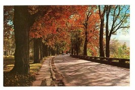 Color Postcard Of Route 30 At Middleburgh New York Autumn Leaves Tree Country - £12.14 GBP