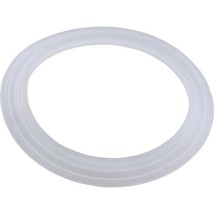 Pentair 985700 Wall Fitting &quot; L&quot; Gasket Cyclone Luxury Jet - $13.38
