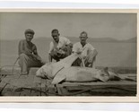 Thursday Island 3 Men and a Shark Real Photo Postcard Queensland Austral... - £30.07 GBP