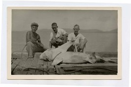 Thursday Island 3 Men and a Shark Real Photo Postcard Queensland Australia 1930s - £30.07 GBP