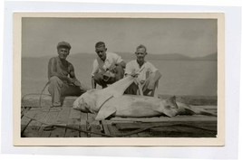 Thursday Island 3 Men and a Shark Real Photo Postcard Queensland Austral... - £30.07 GBP