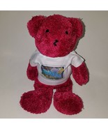 Greetings From Nevada T-Shirt Teddy Bear Stamp Plush USPS Stuffed Animal... - £10.81 GBP