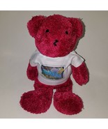 Greetings From Nevada T-Shirt Teddy Bear Stamp Plush USPS Stuffed Animal... - $13.81