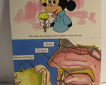 1978 Walt Disney&#39;s Fun &amp; Facts Flashcard #DFF4-10: Taste, Touch and Smell - £1.56 GBP