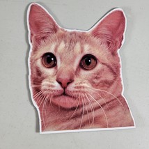 New Tabby Cat Head Magnet Size 4.5&quot; x 6&quot; Perfect for Indoor and Outdoor Use - £6.30 GBP