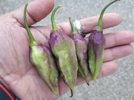 Item image 1 image 1