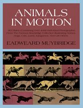 Animals in Motion (Dover Anatomy for Artists) Muybridge, Eadweard - £10.88 GBP