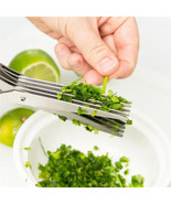 Multifunctional Multi-layers Green Onion Scissors Stainless Steel Herb K... - $25.89 CAD