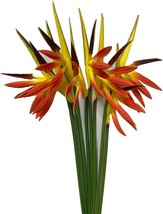 Corkwaw 8 Pack 21-1/2 Inch Artificial Flowers Bird Of Paradise,Green, Orange - $38.99