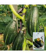 Sweet Lucky Star Pumpkin Seeds - $8,419.76 MXN