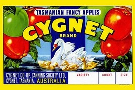 Cygnet Tasmanian Fancy Apples - Art Print - £17.68 GBP+