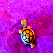 Sterling silver turtle pendant - $509.36 MXN