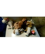 Ty Beanie Baby Dogs Lot of 4 - £13.57 GBP