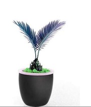 Fresh New 10Pcs Mini Blue Sago Cycas Revolute Plant Seeds - £53.53 GBP