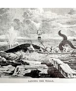 Lancing The Whale At Sea 1926 Nautical Antique Print Whale Hunting DWW4A - $35.02 CAD