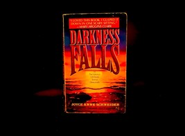 Joyce Anne Schneider / Darkness Falls / Vintage Paperback / 1991, Pocket Books - £1.05 GBP