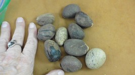 Item image 1 image 1