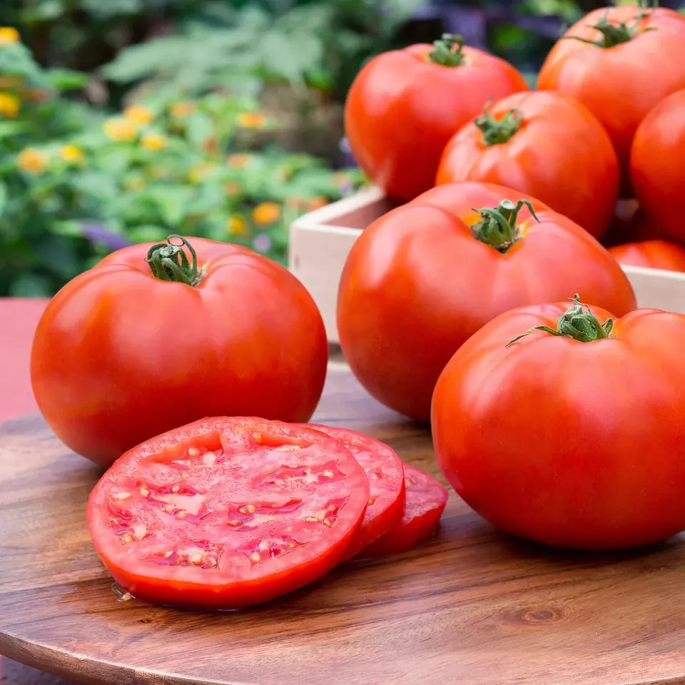Burpee’s Red Juicy Big Boy Tomato Seeds for Garden 50 Seeds Fast Shipping - £9.40 GBP
