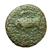 Ancient Greek Coin Agathokles Syracuse Sicily AE17mm Persephone / Bull 04046 - £17.29 GBP