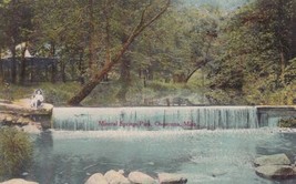 Owatonna Minnesota MN Mineral Springs Park Postcard D32 - £2.24 GBP