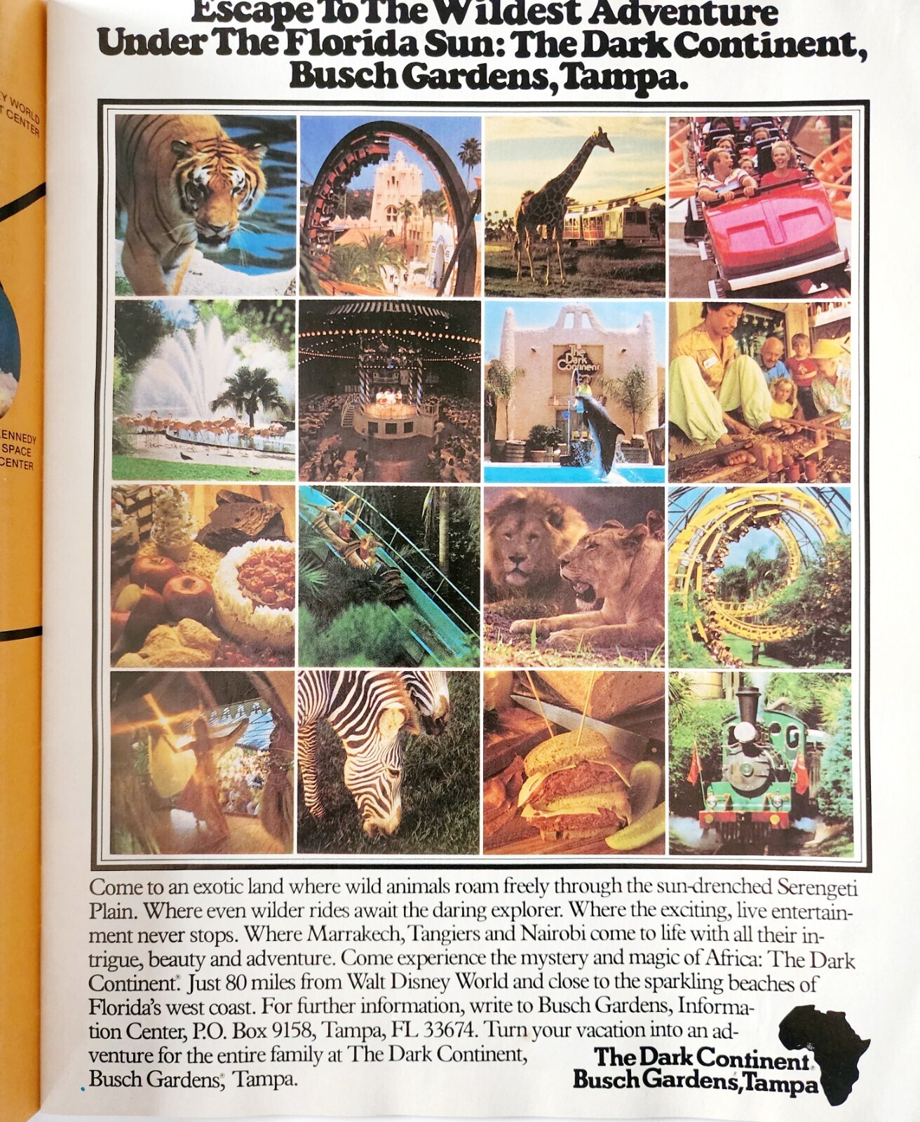 1984 Florida's Suncoast St Petersburg Vintage Travel Magazine Brochure 1 DWF18 Item image 4