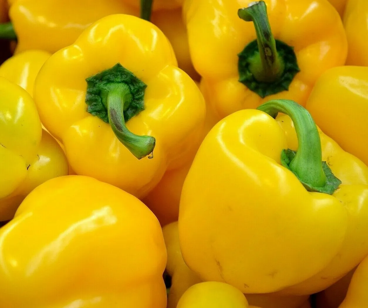 YELLOW BELL PEPPER 30+SEEDS  &quot;CANARY&quot; BELL PEPPER - £7.47 GBP