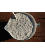 The SOURDOUGH STARTER YEAST california gold rush country OLD + recipes l... - £6.93 GBP