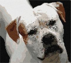 Pepita Needlepoint Canvas: American Bulldog, 10&quot; x 9&quot; - £61.43 GBP+