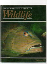 THE ILLUSTRATED ENCYCLOPEDIA OF WILDLIFE VOLUME 33 FISHES - £3.11 GBP