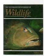 THE ILLUSTRATED ENCYCLOPEDIA OF WILDLIFE VOLUME 33 FISHES - £3.07 GBP