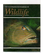 THE ILLUSTRATED ENCYCLOPEDIA OF WILDLIFE VOLUME 33 FISHES - $3.91