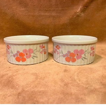 Vintage Pair of 1985 Galleria Collection Stoneware Ramekins Japanese Pin... - $20.79