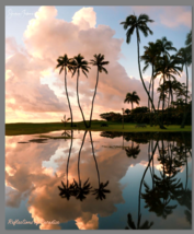 Reflections of Paradise - @shannonjamminphotos Wooden Wall Photo Panel 20&quot; x 30&quot; - £137.84 GBP