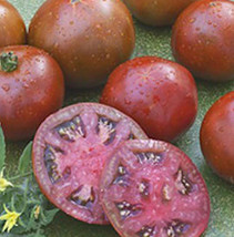 Tomato Black Prince Heirloom Russian Patio Canning Slicing 50 Seeds - £7.83 GBP