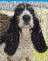 Amazing Basset Hound Dog Montage LIMITED EDITION w/coa - £9.05 GBP