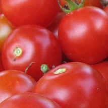 SHIP FROM US 2 g ~706 Seeds - Large Red Cherry Tomato Seeds - Non-GMO, TM11 - $35.36