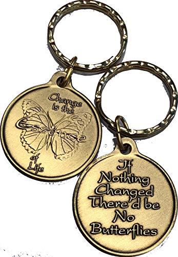 If Nothing Changed There'd Be No Butterflies - Change is The Essence Butterfly K