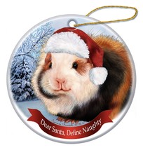 Holiday Pet Gifts Teddy Bear Guinea Pig Santa Hat Porcelain Christmas Ornament - £25.63 GBP